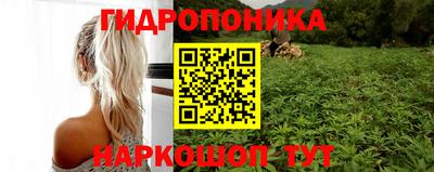 индика Мариинск