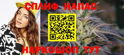индика Мариинск